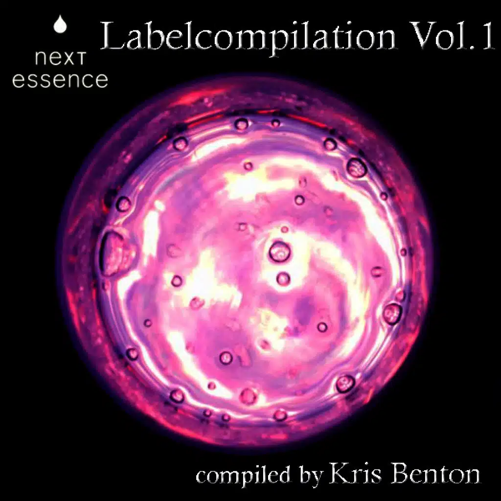 Next Essence - Labelcompilation Vol. 1 - Unmixed!