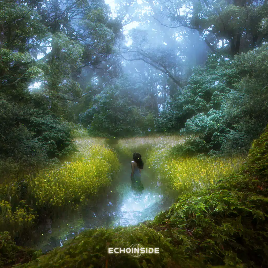 ECHOINSIDE
