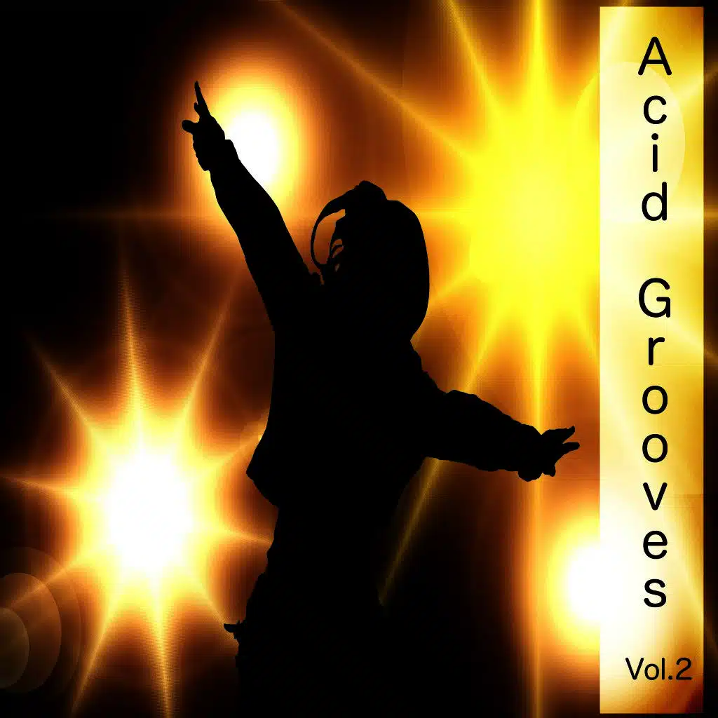 Acid Grooves, Vol. 2
