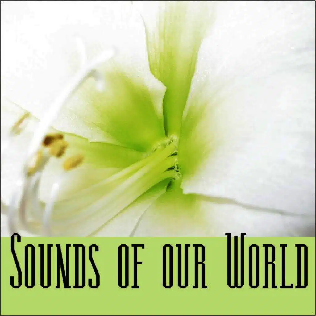Sounds of Our World