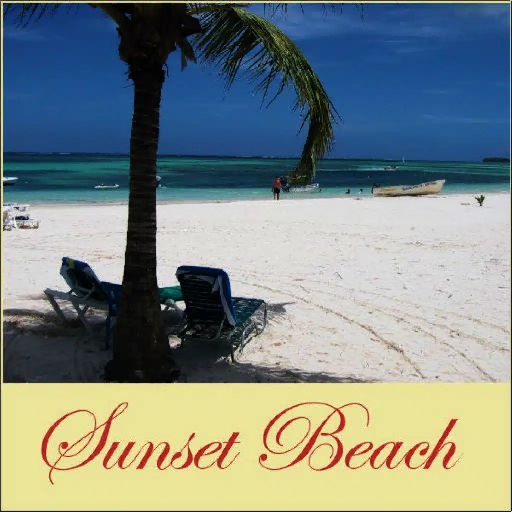 Various Artists & Solisten Der Sdr Big Band