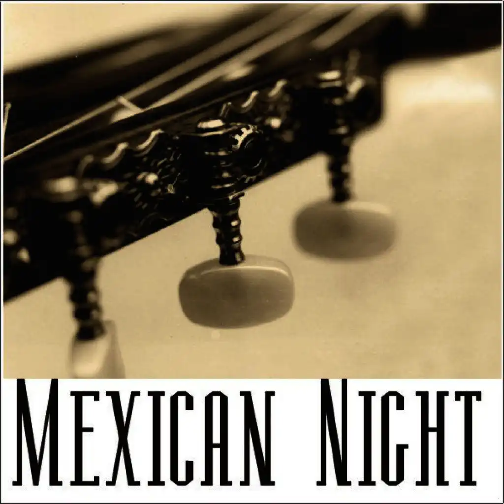 Mexican Night