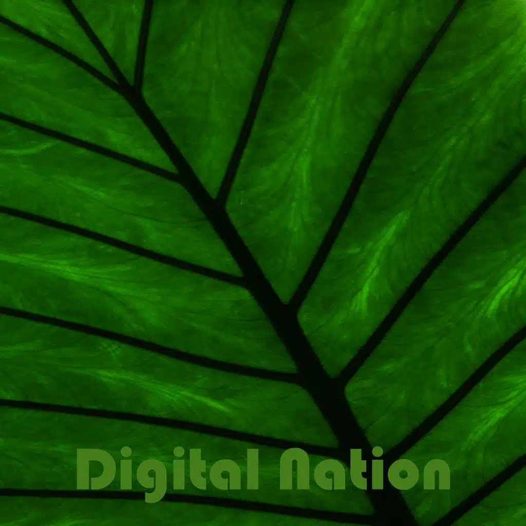 Digital Nation