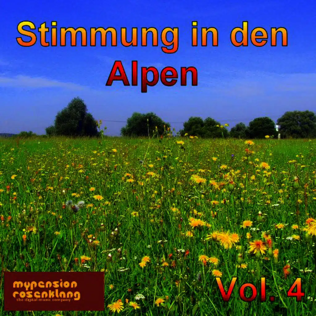 Party in the Alps - Stimmung in Den Alpen Vol. 4