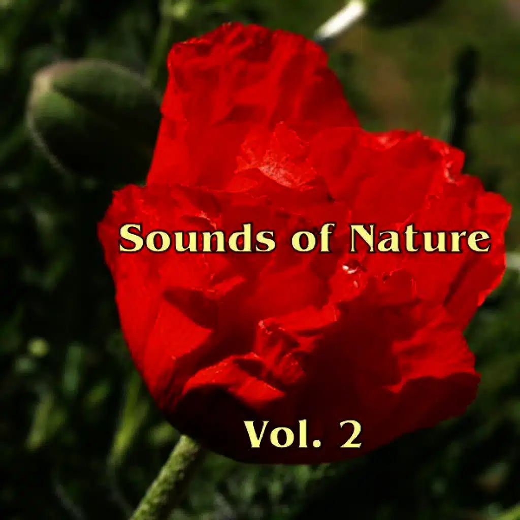 Sounds Of Nature Vol. 2