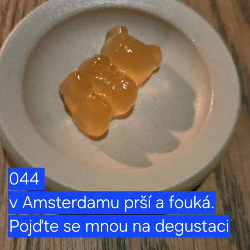 045 v Amsterdamu prší a fouká. Pojd'te se mnou na degustaci