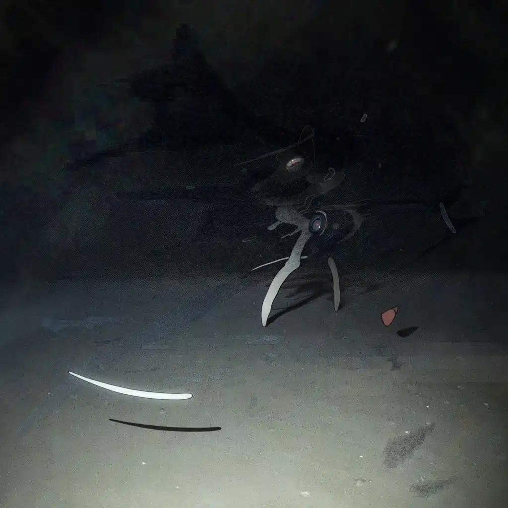 ShinreiRyouhou