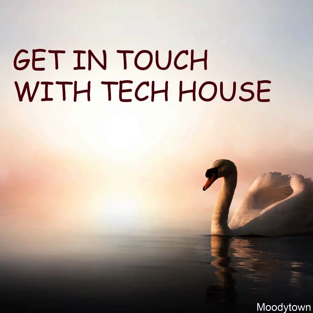 Get in Touch with Tech House