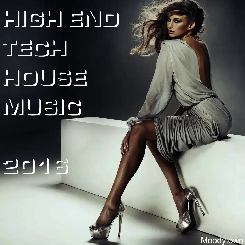 High End Tech House Music 2016
