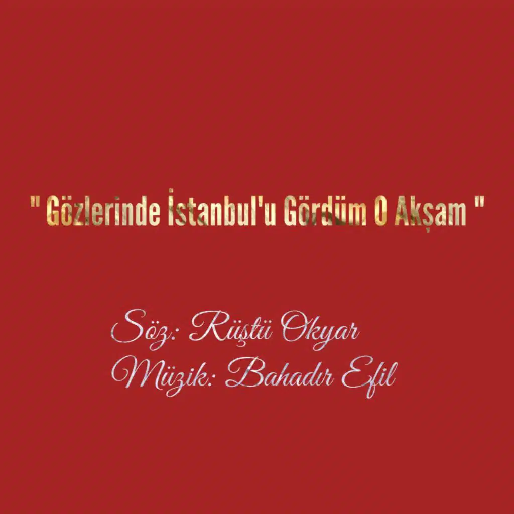 Gözlerinde İstanbul'u Gördüm O Akşam
