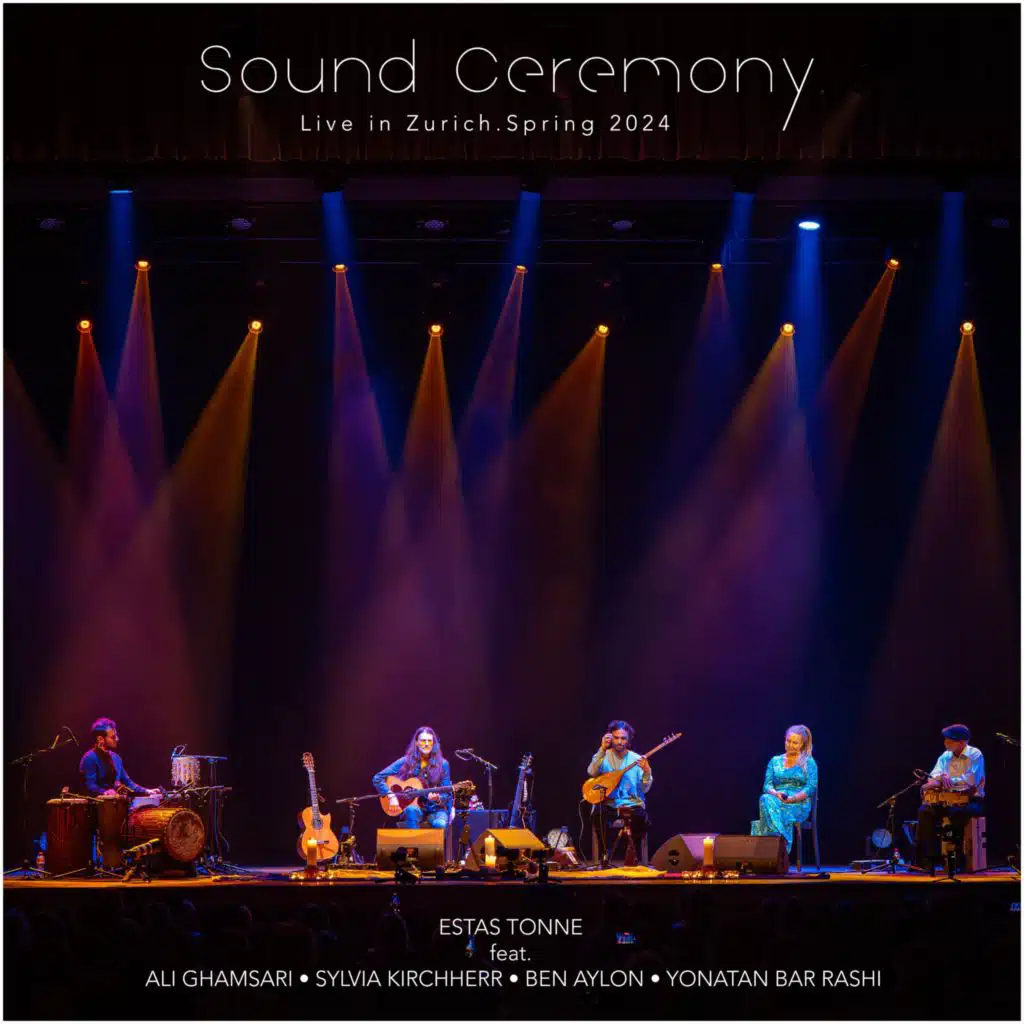 Internal Flight Journey-The Essence (Live) [feat. Ali Ghamsari & Sylvia Kirchherr]