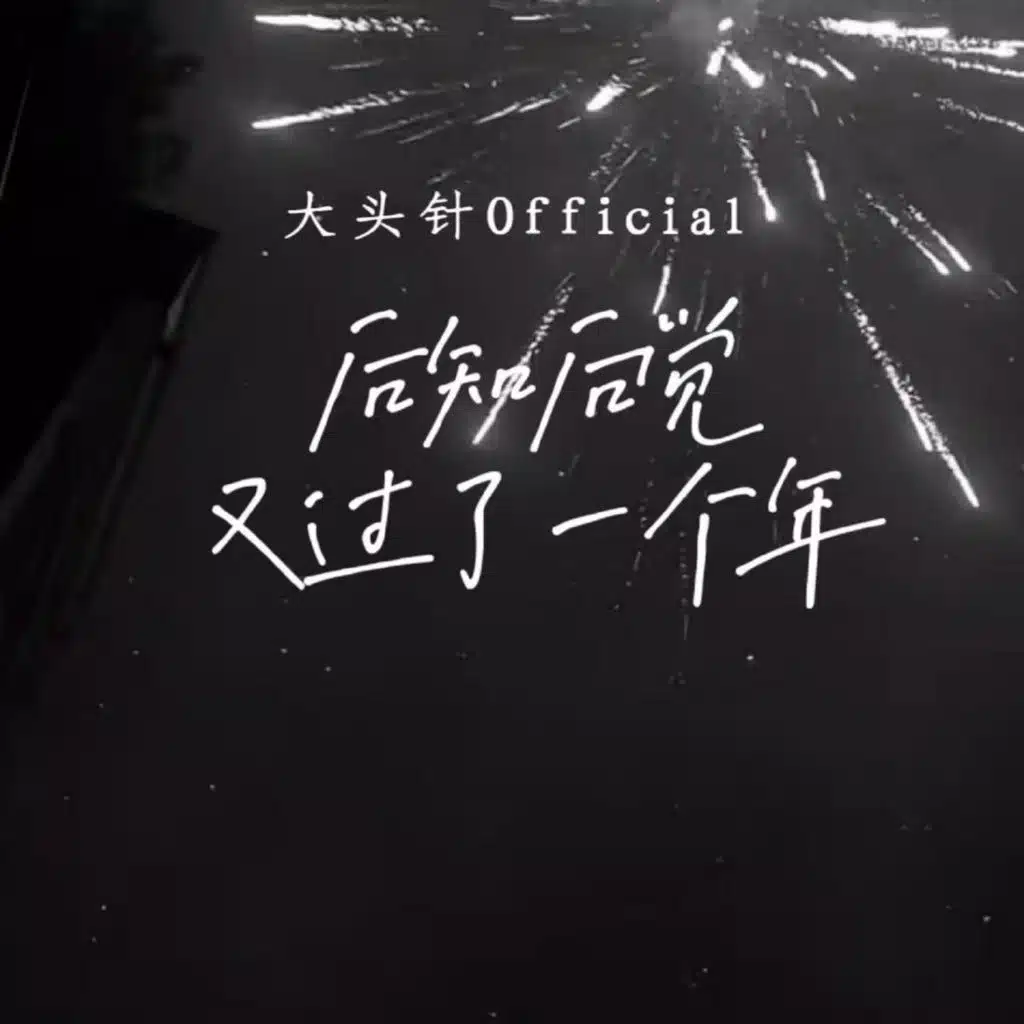 大头针official