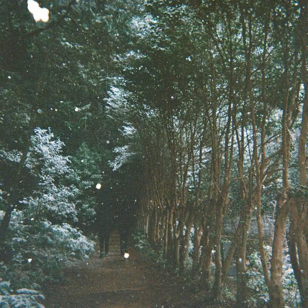 Lost In Yesterday