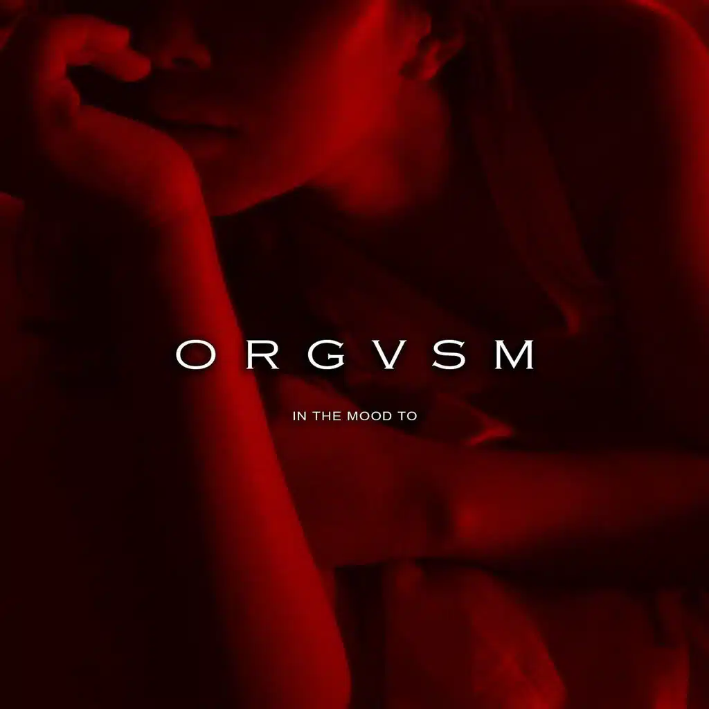 Orgvsm