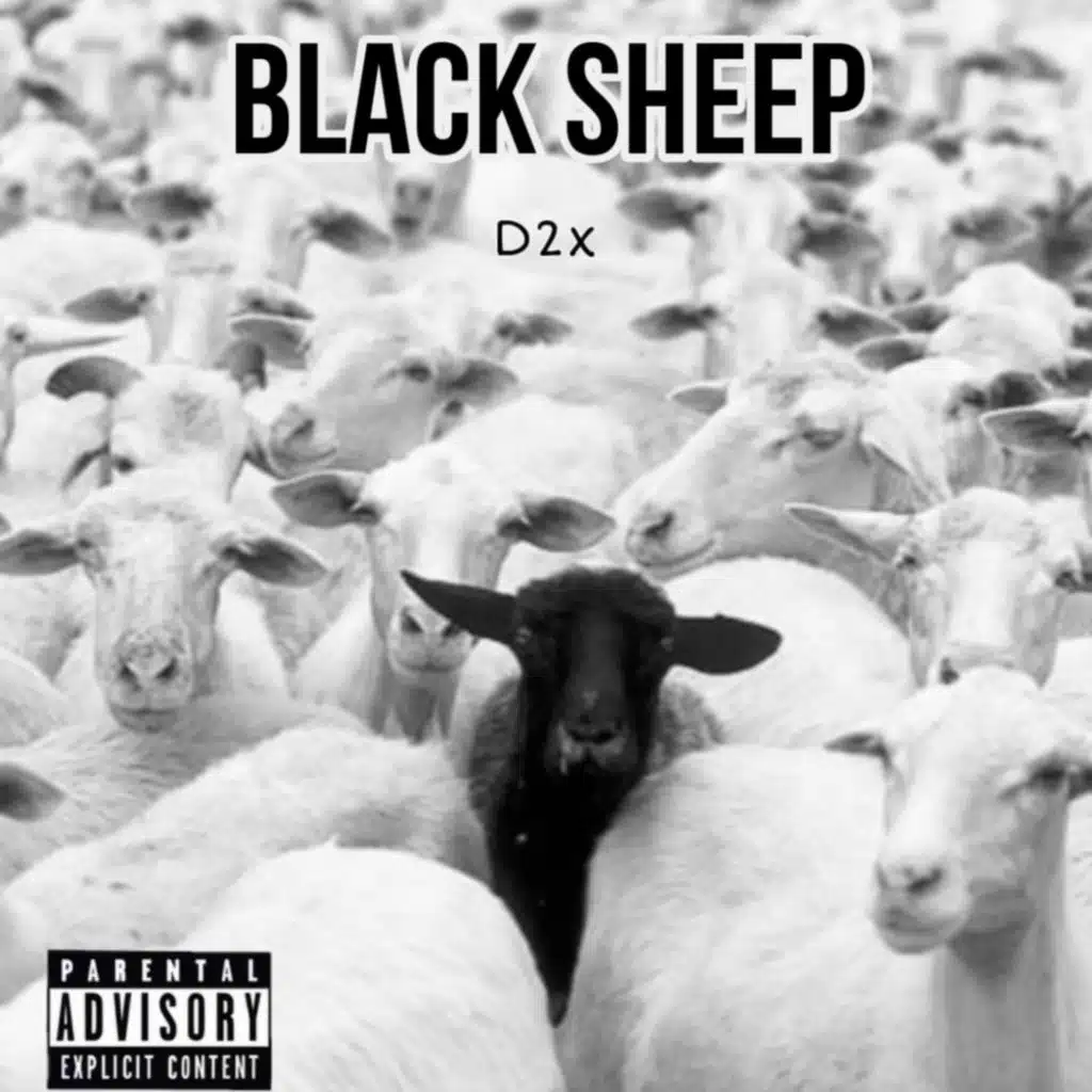 Blaxk Sheep
