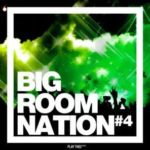 Big Room Nation, Vol. 4