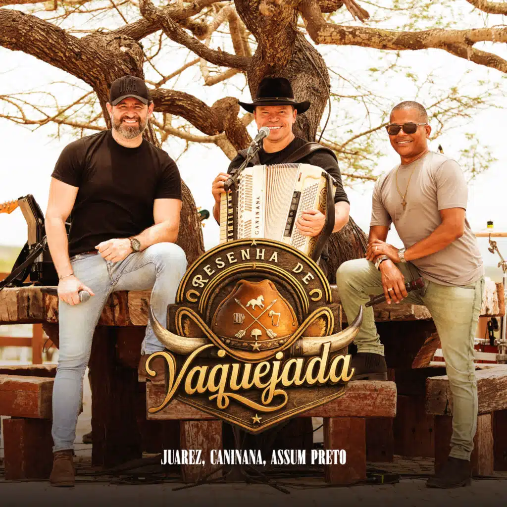 Resenha de Vaquejada