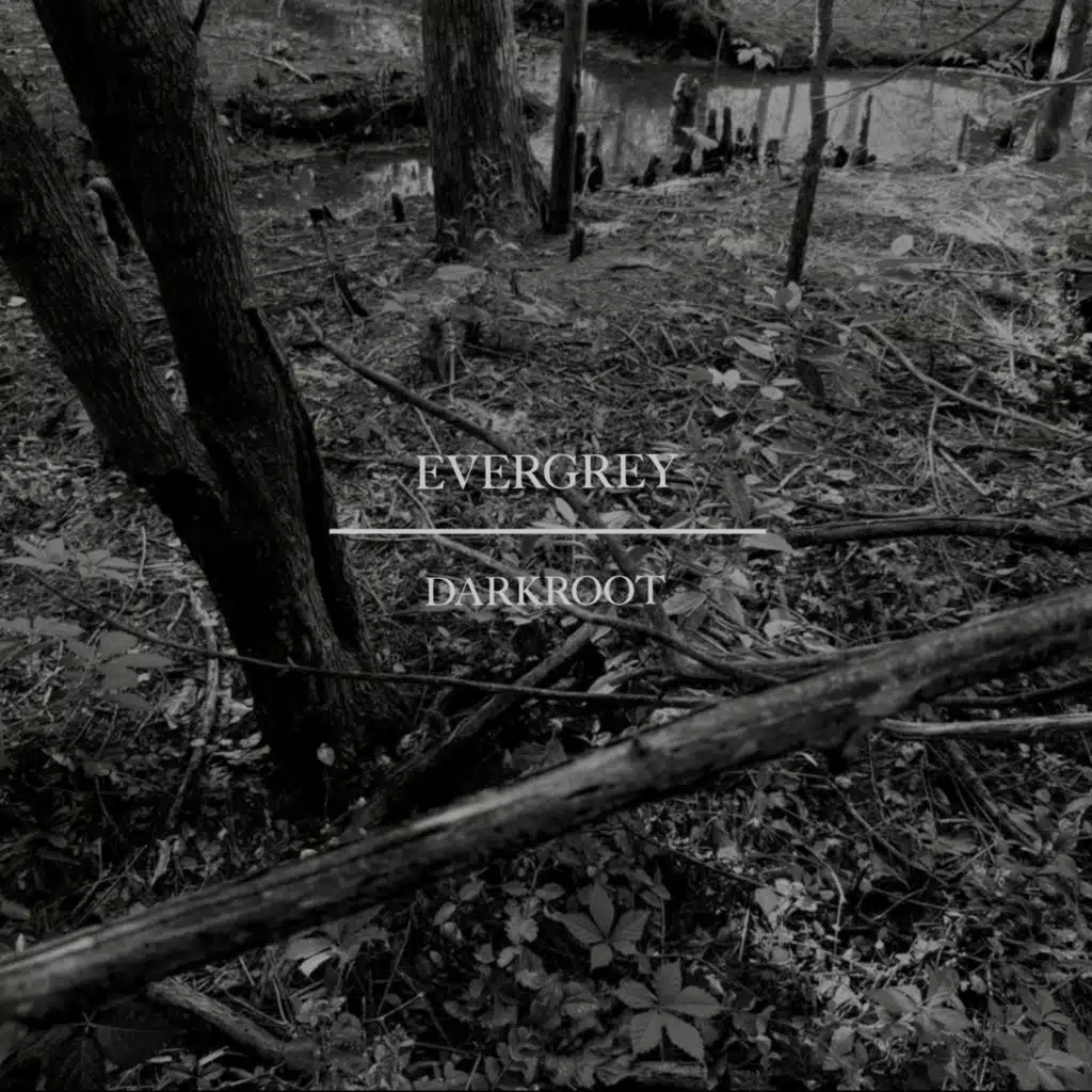darkroot
