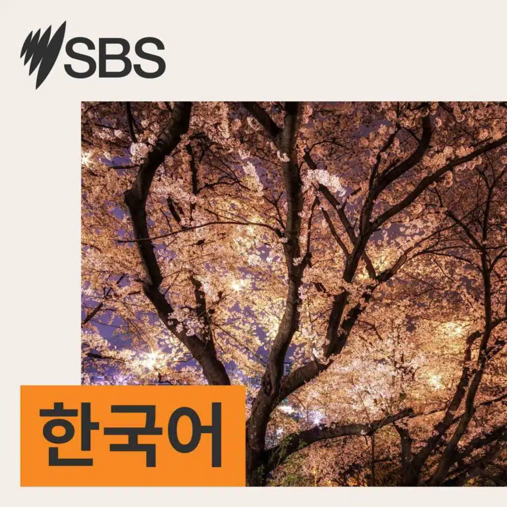 호주 재무장관, 2026 연방예산 발표… “개혁의 어려운 길”