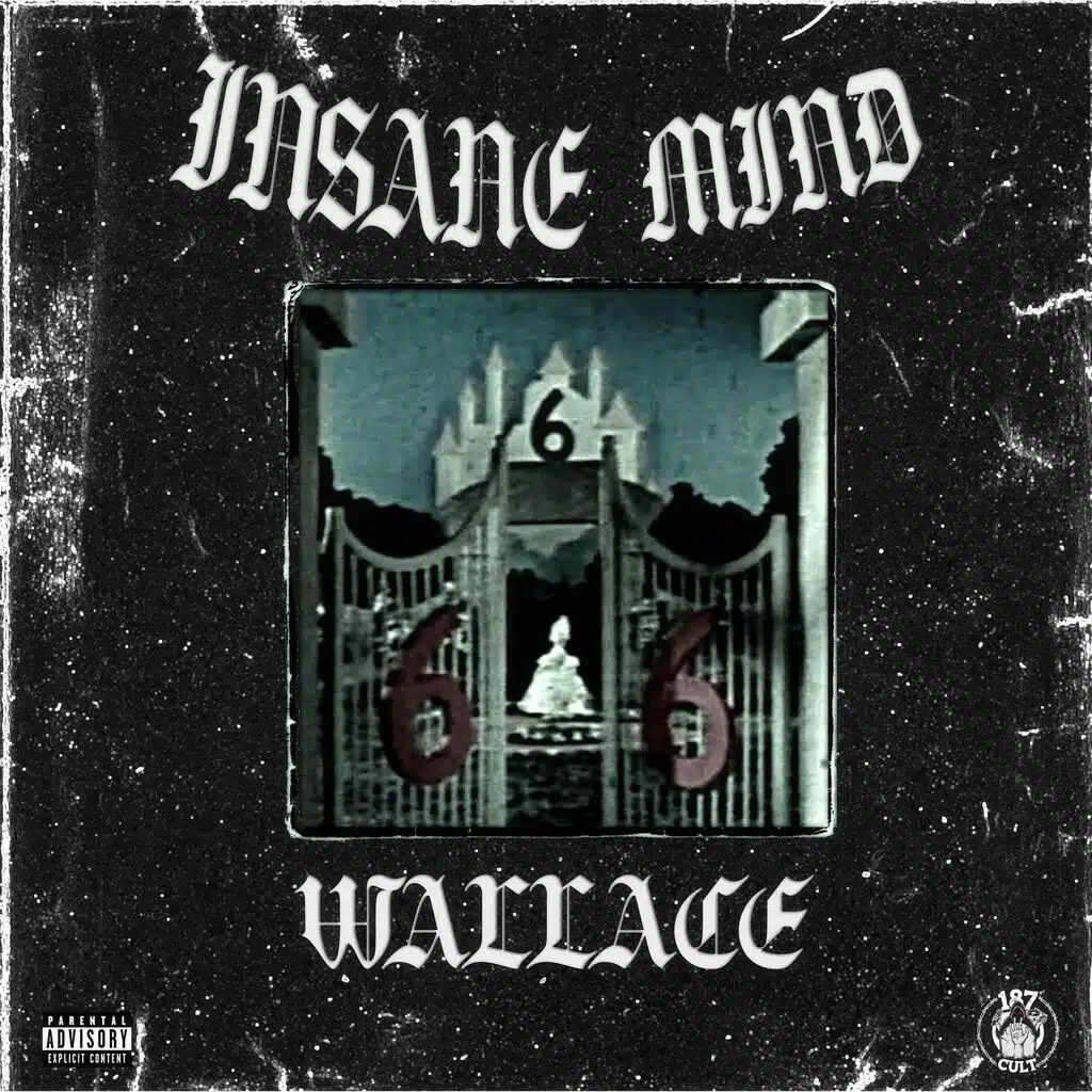 INSANE MIND