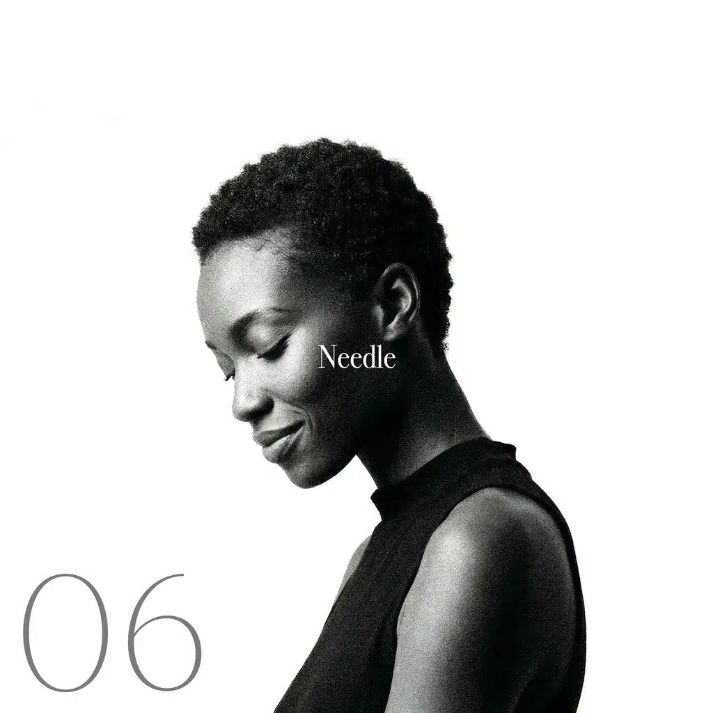 Needle