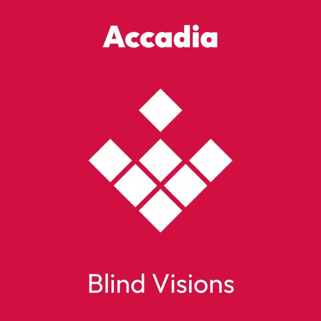 Blind Visions