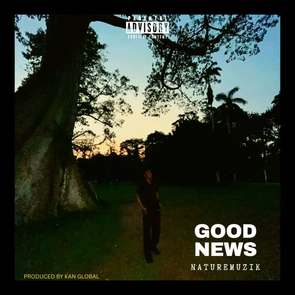 Naturemuzik