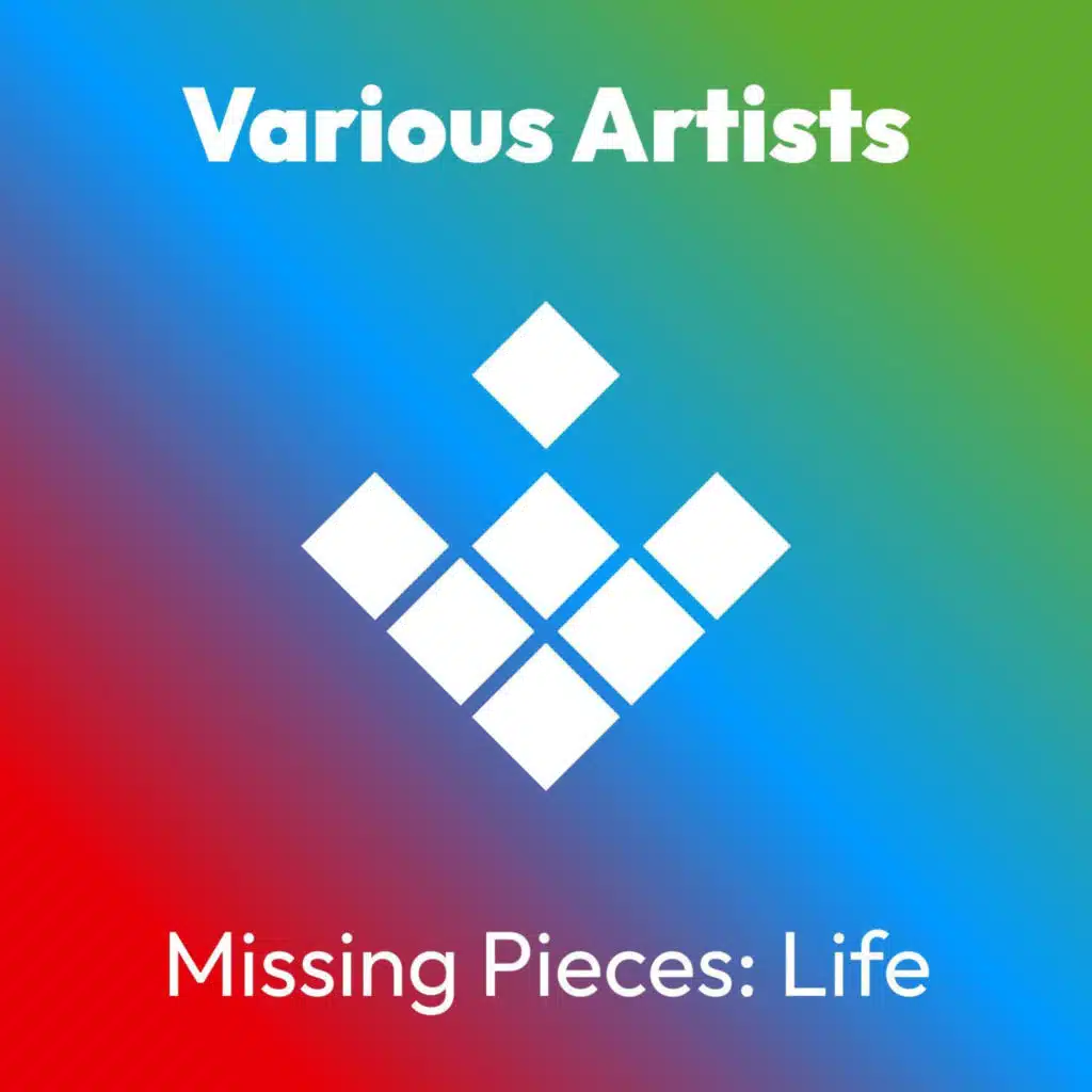 Missing Pieces: Life