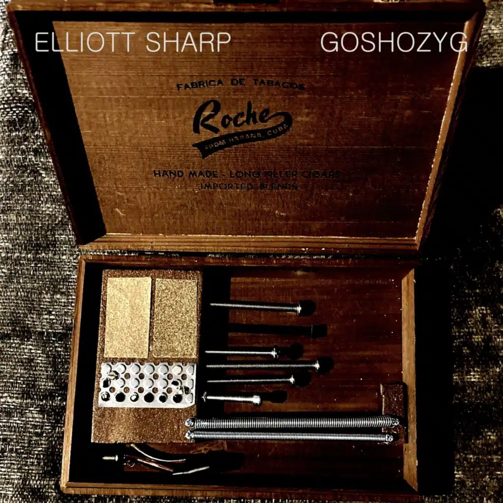 Elliott Sharp