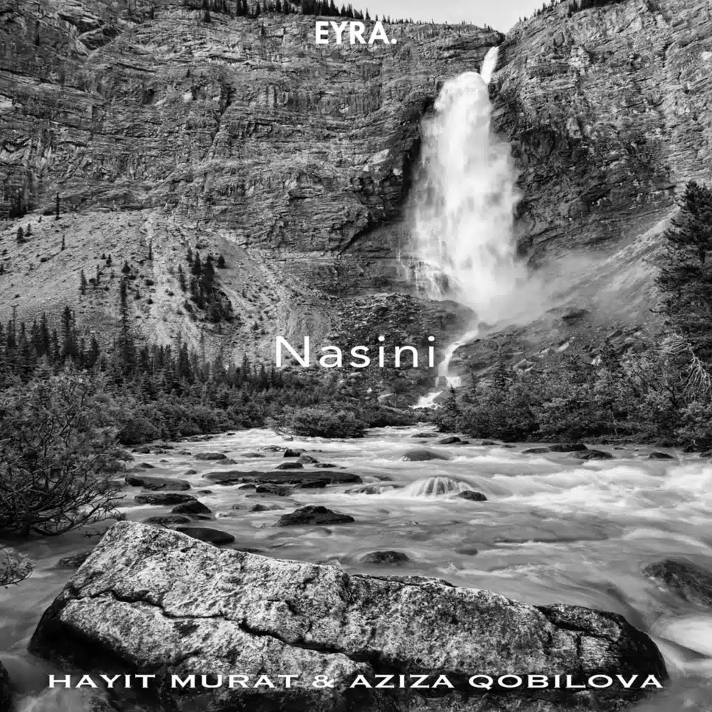 Nasini