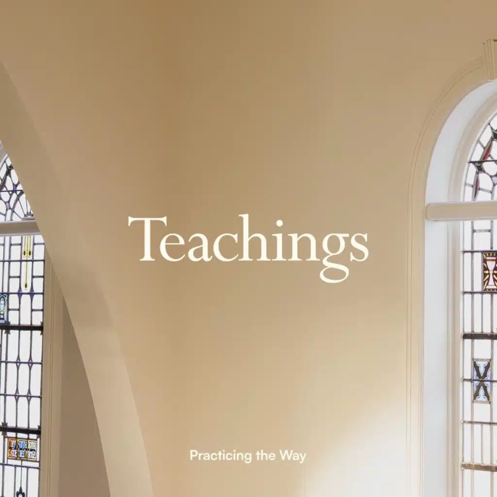 Teaching | A Community of Peacemakers in a Culture of Political Polarization | Future Church E06