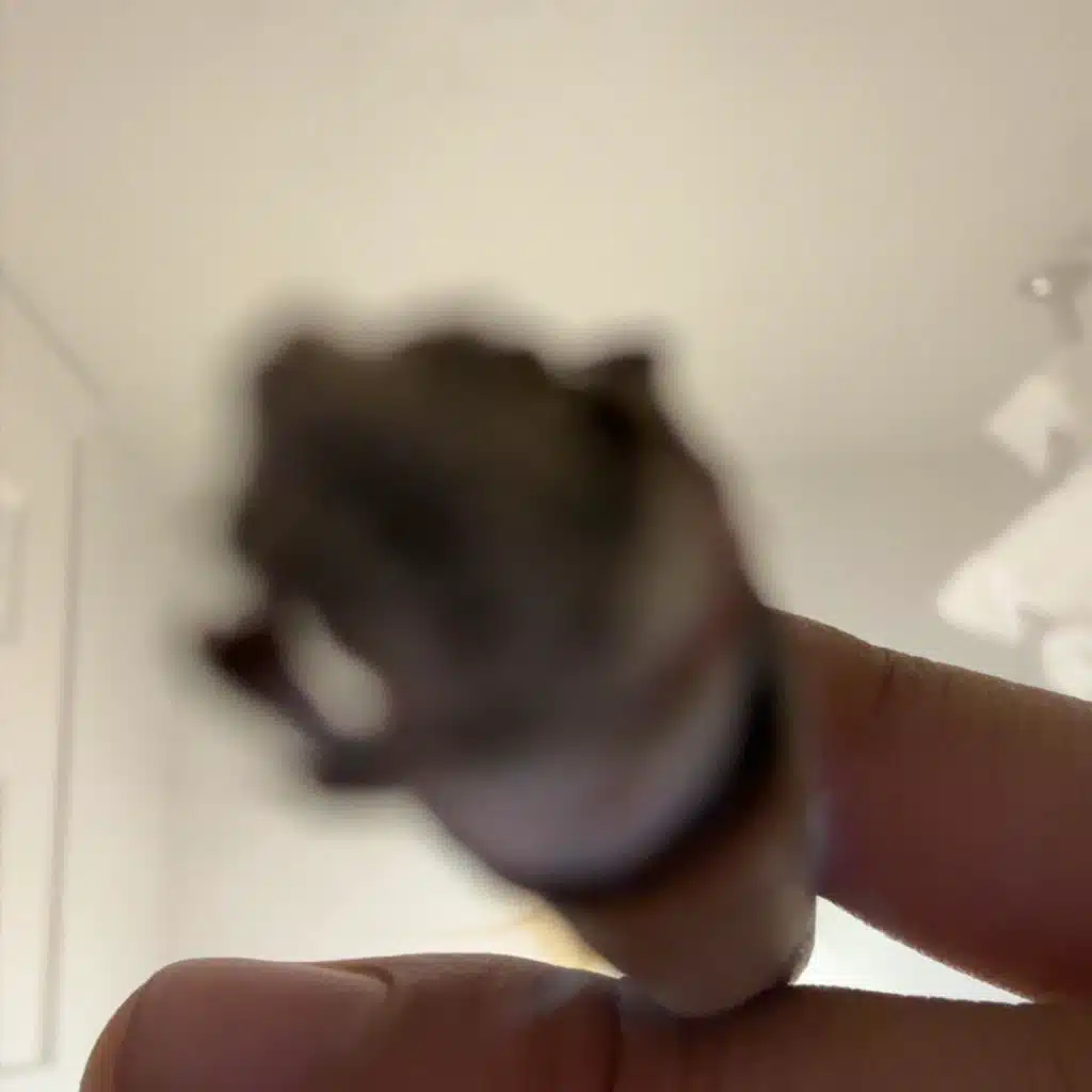 ET