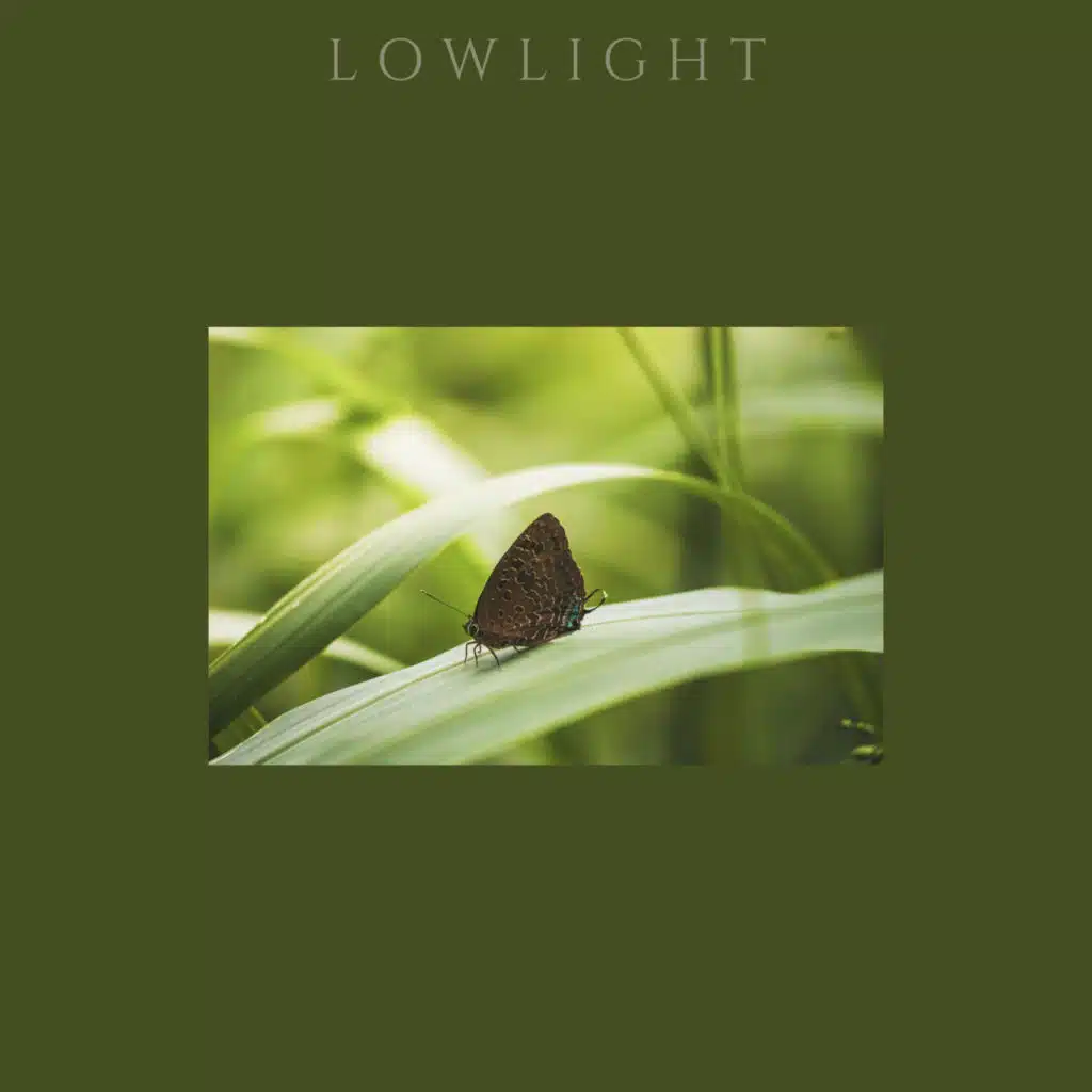 LOWLIGHT