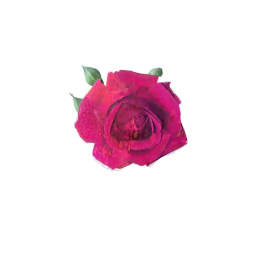 rose print