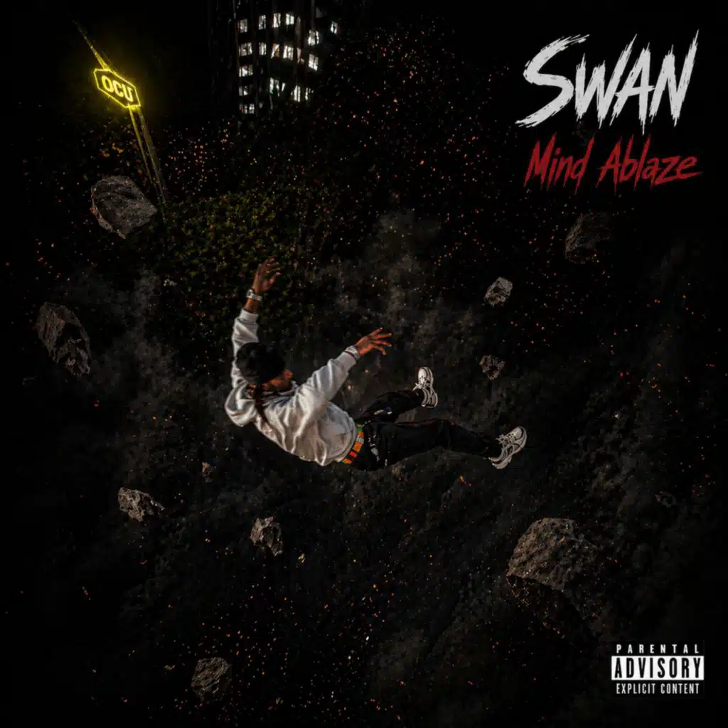Swan
