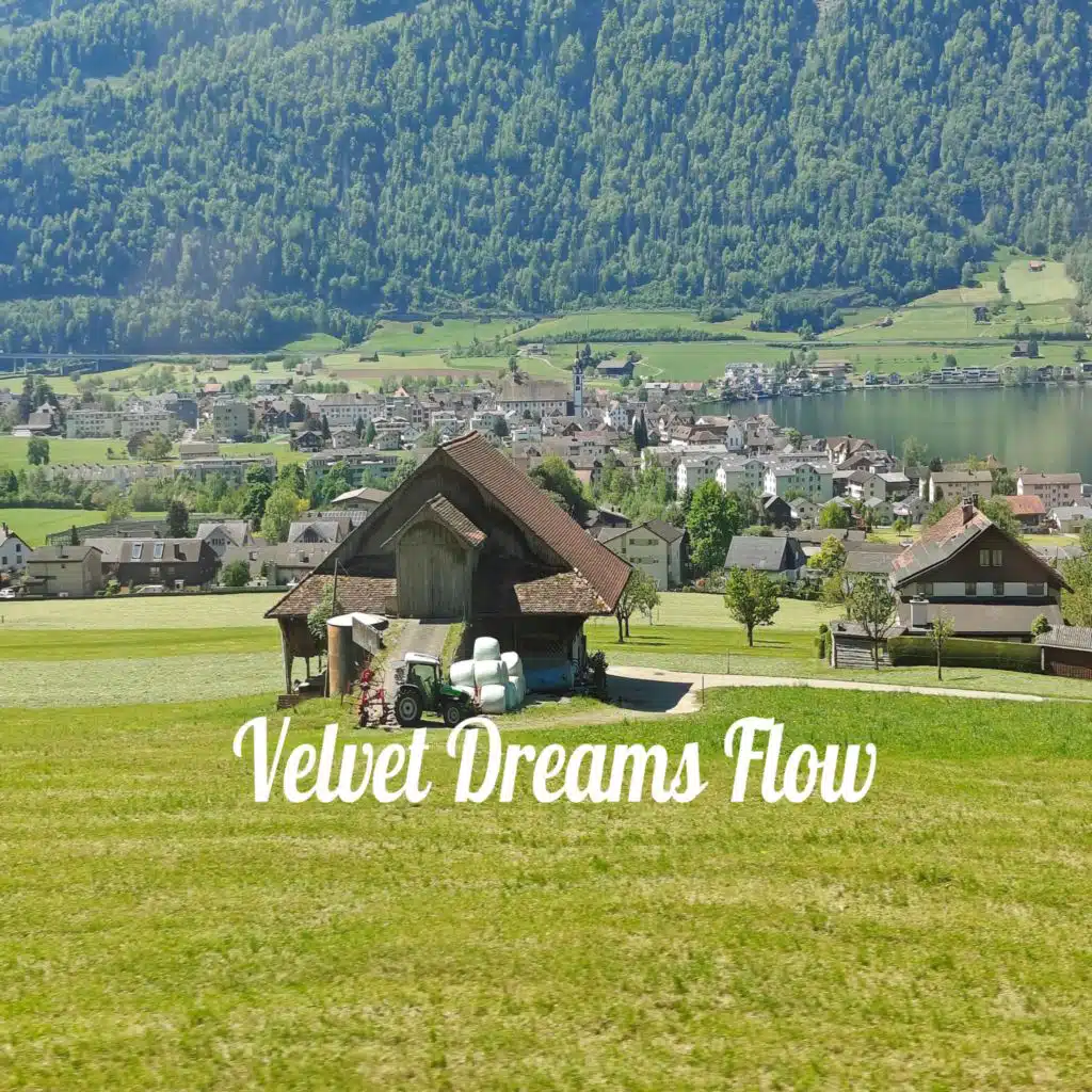 Velvet Dreams Flow