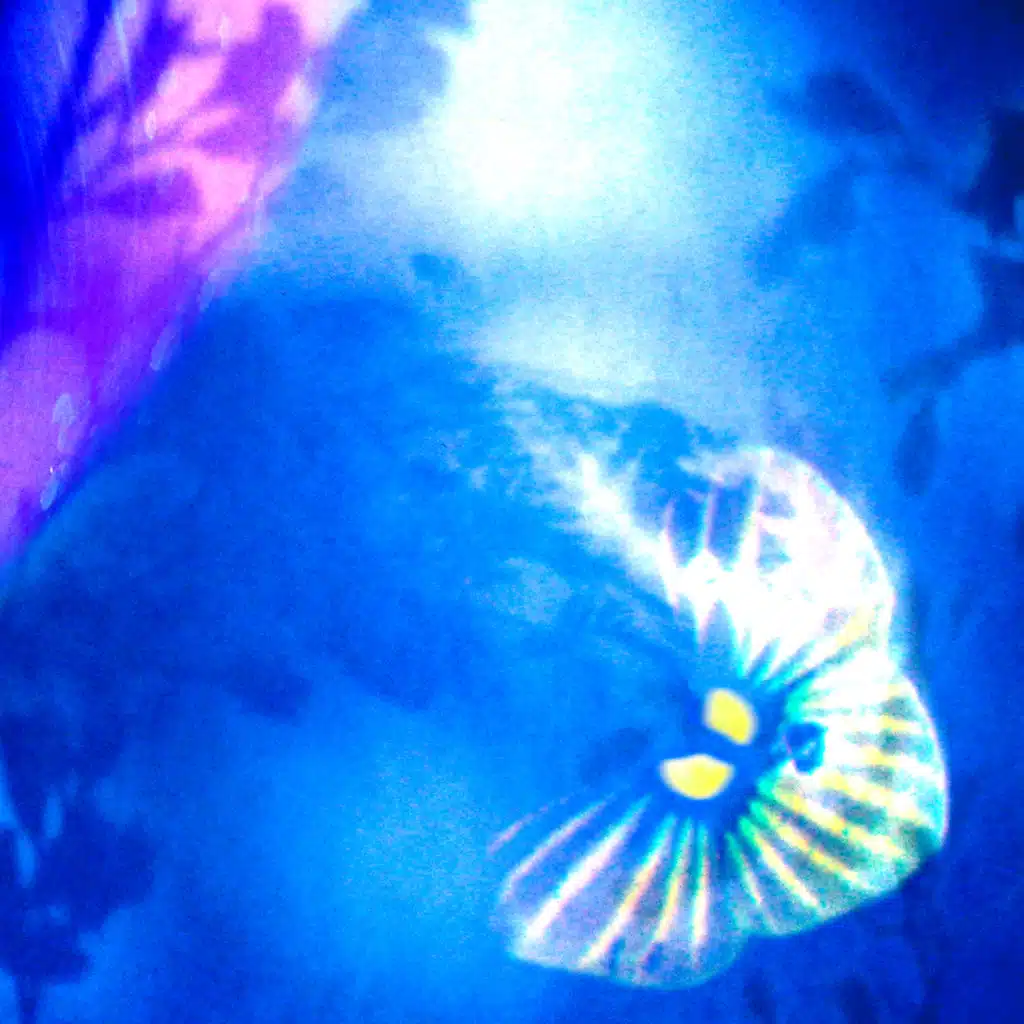 Dove I Fiori Non Muoiono