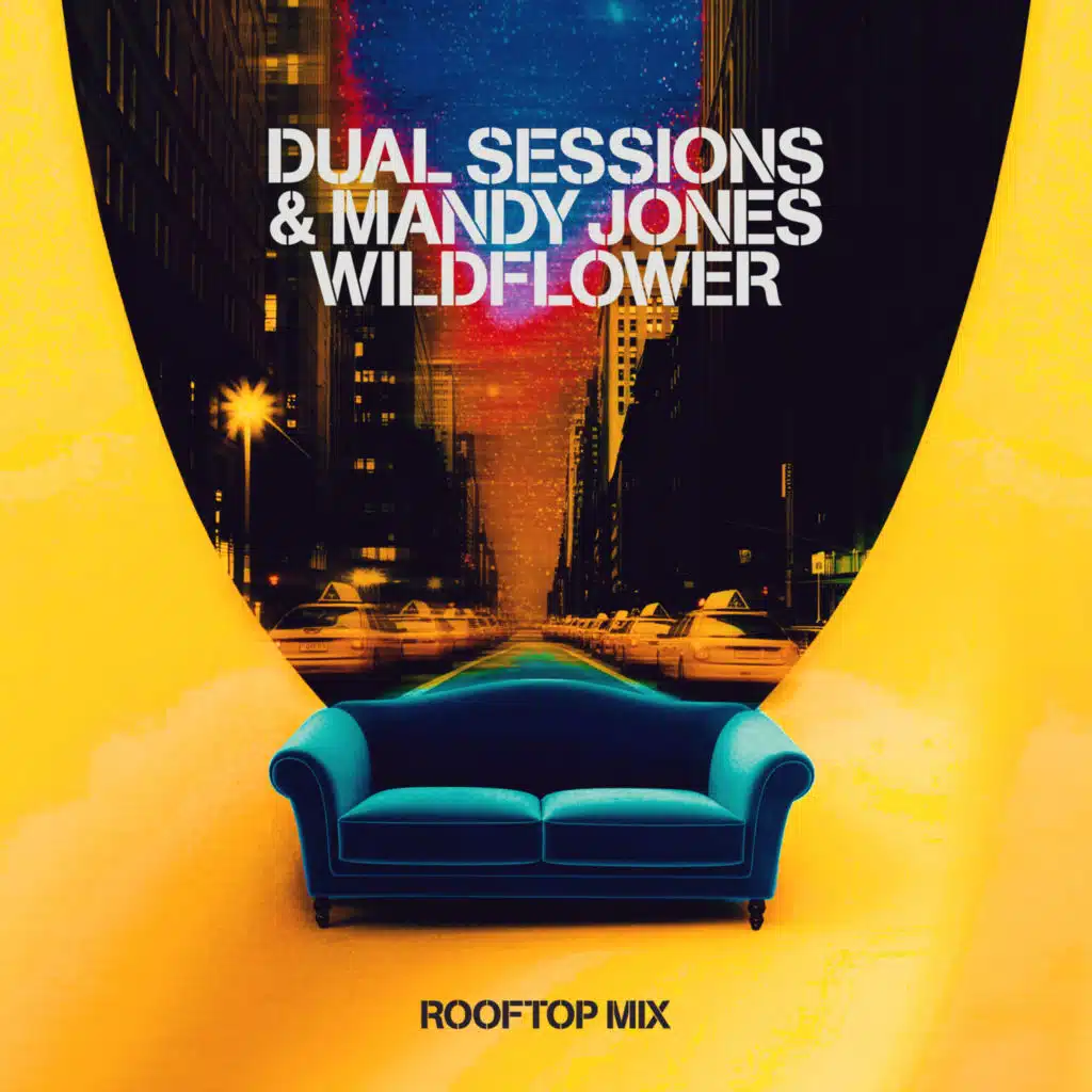 WILDFLOWER (Rooftop Mix) [feat. Ronan]