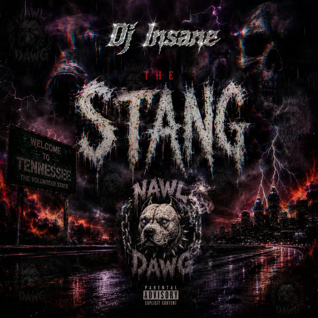 Dj Insane