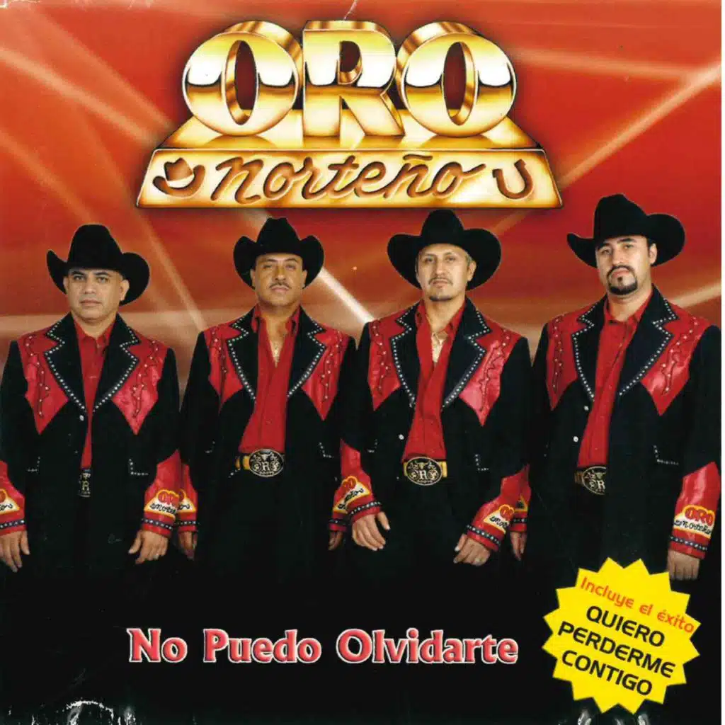 No Puedo Olvidarte