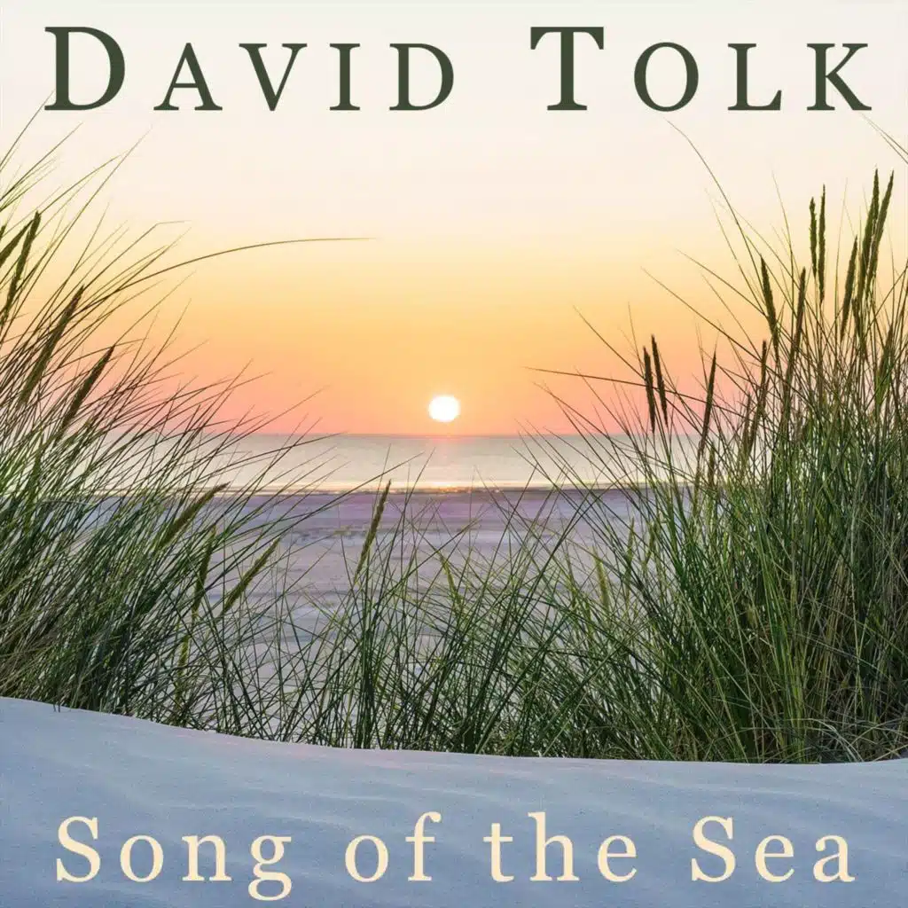 David Tolk