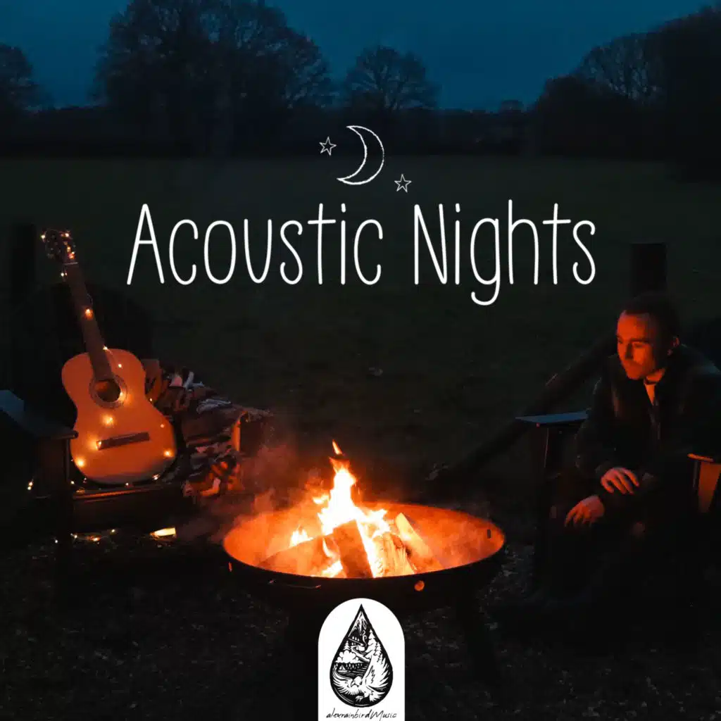 Acoustic Nights, Vol. 3 (alexrainbirdMusic)