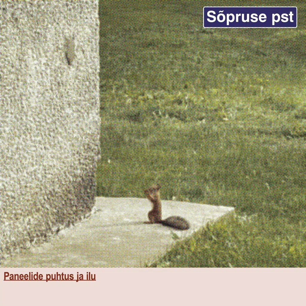 Paneelide puhtus ja ilu