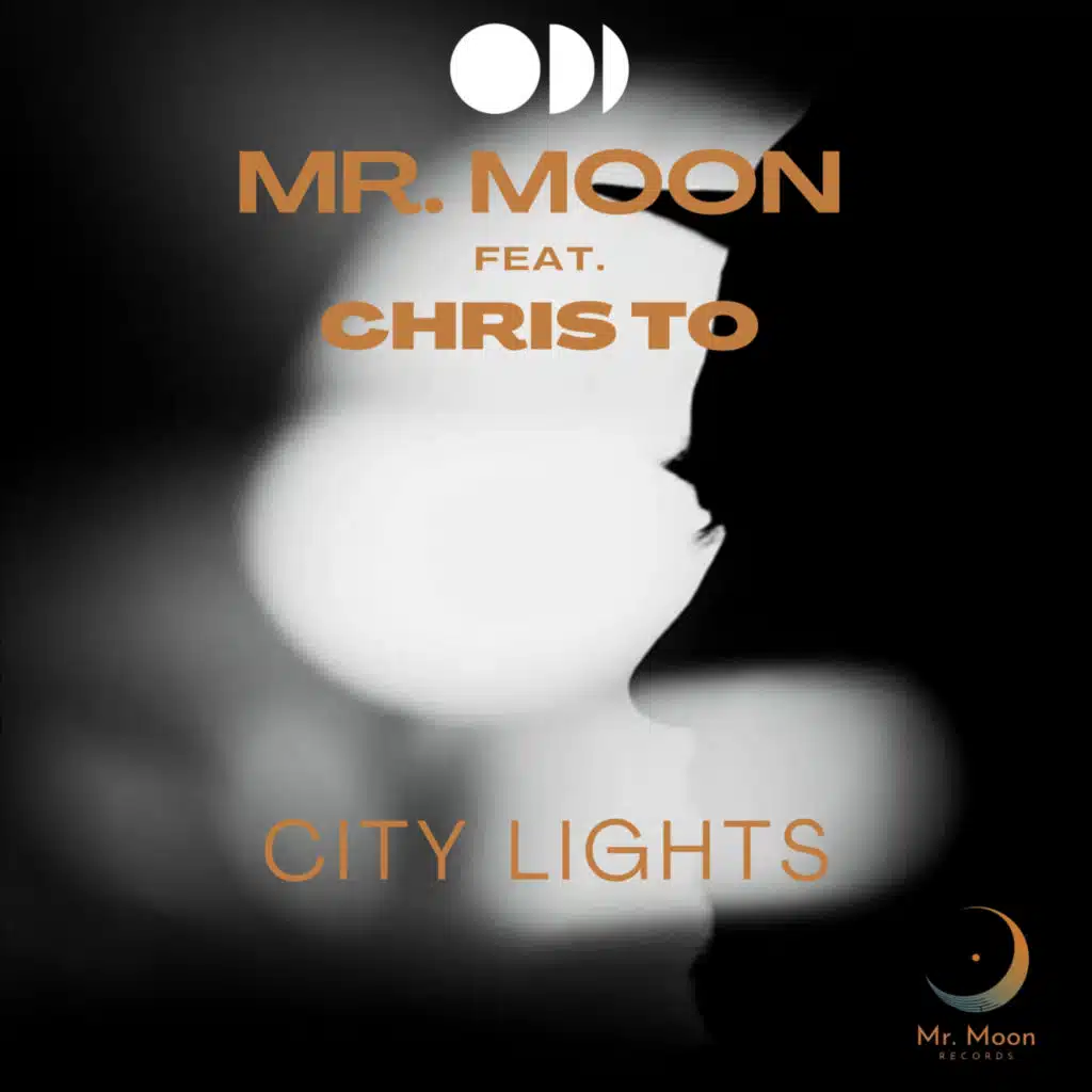 Mr. Moon