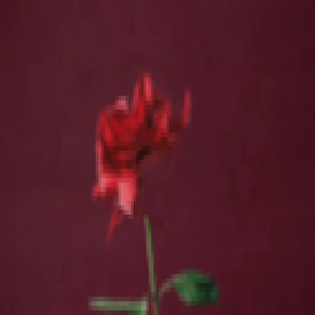 Rose Colored