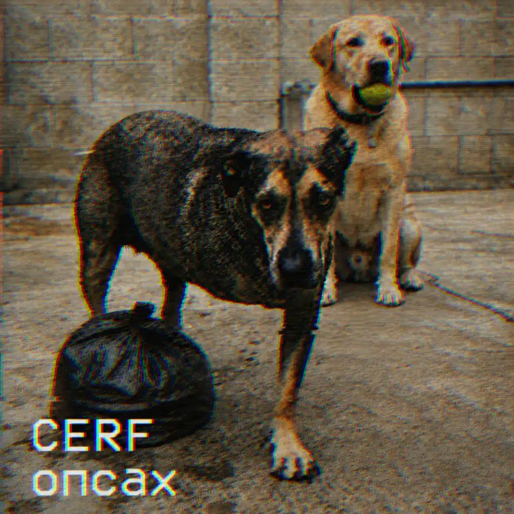 Cerf
