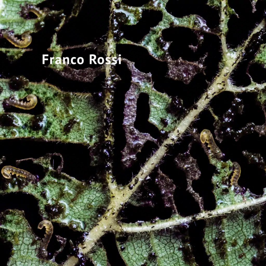 Franco Rossi