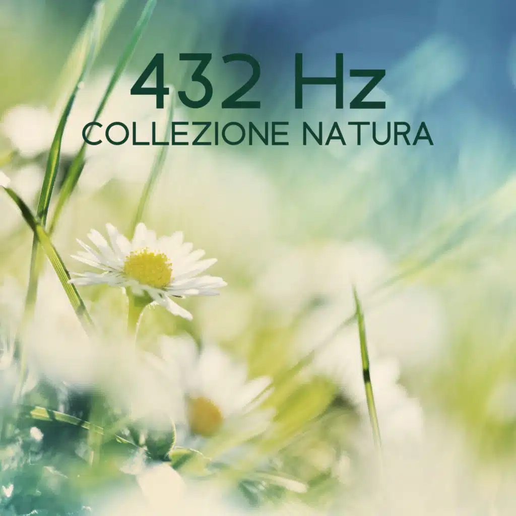 Rinascita 432 Vibration