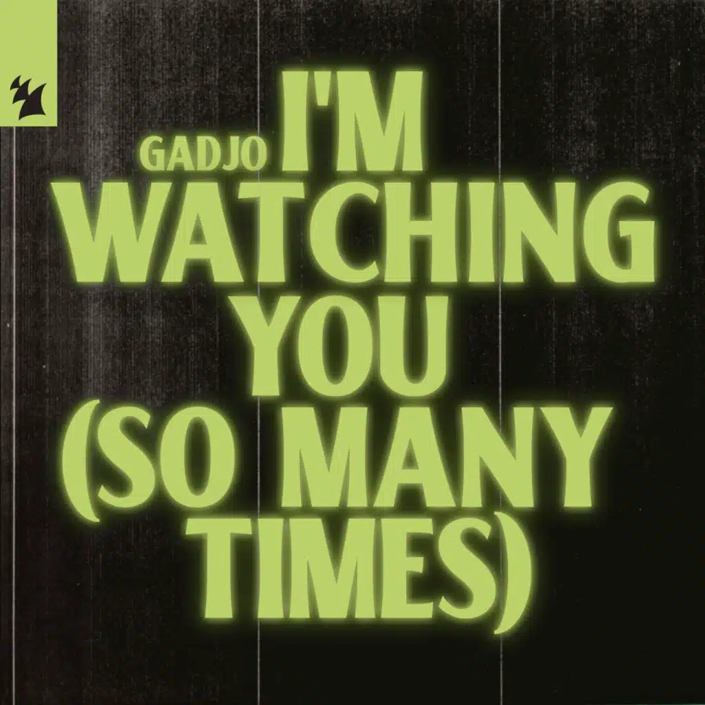 I'm Watching You (So Many Times)