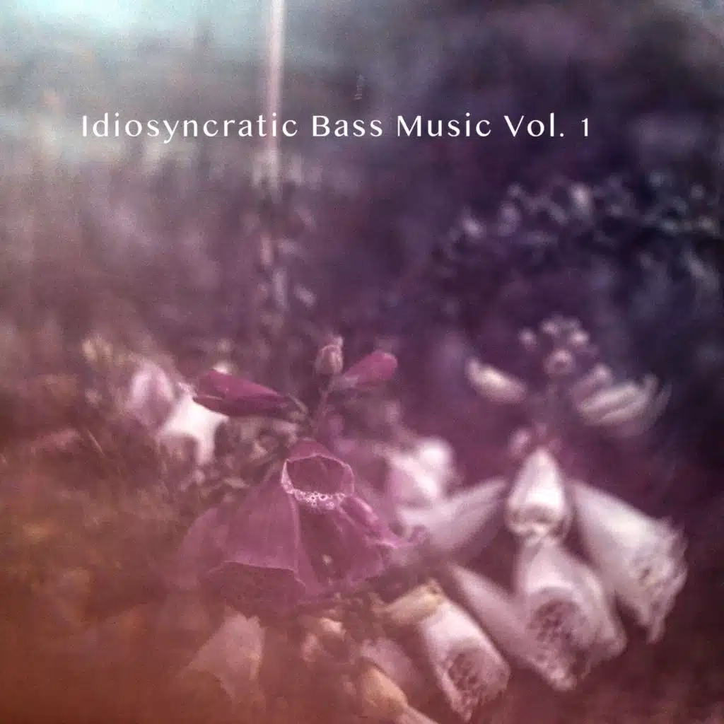 Idiosyncratic Bass Music Vol. 1